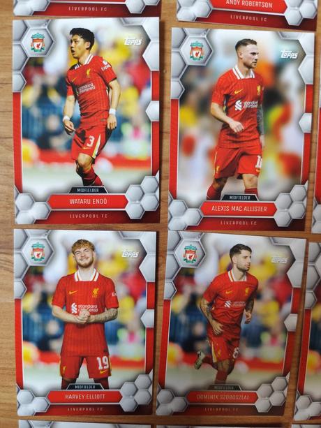 Futbalové kartičky - liverpool,