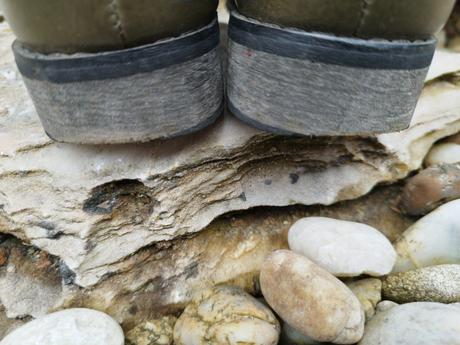 Členkové prechodné jenny fairy, 37