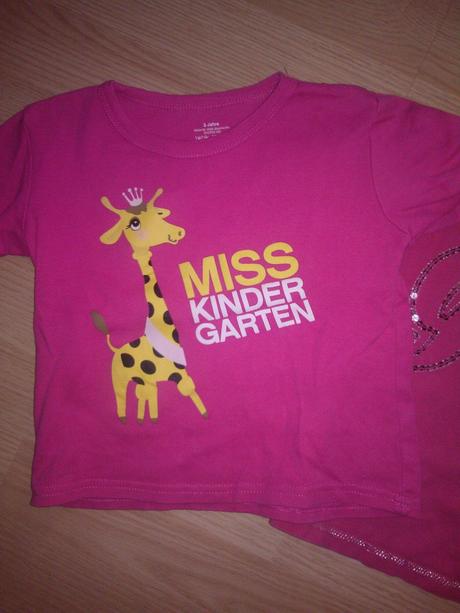 Tricka ruzove, disney,104