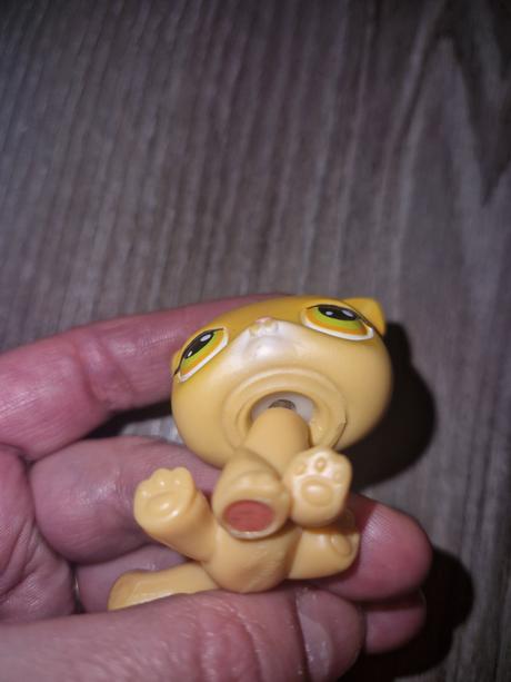 Littlest pet shop 78, 