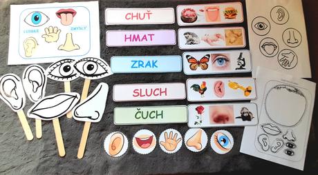 Pomôcky na rozvoj zručností - zmyslové orgány, 