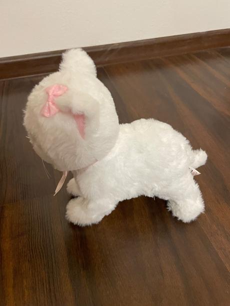 Interaktívna mačka, 