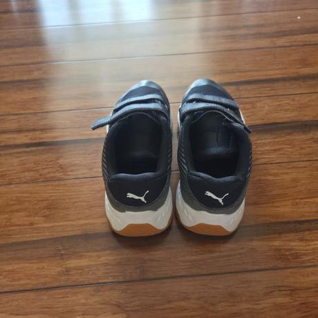 Halovky puma, puma,34