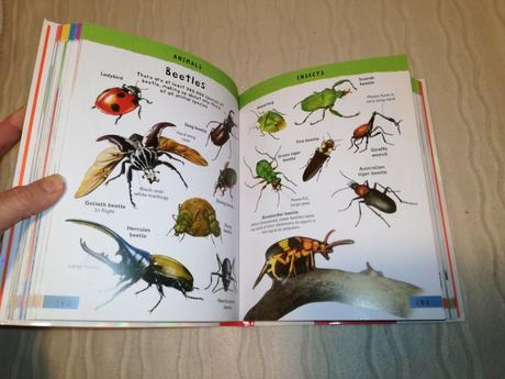 Mk junior picture dictionary nea20, 