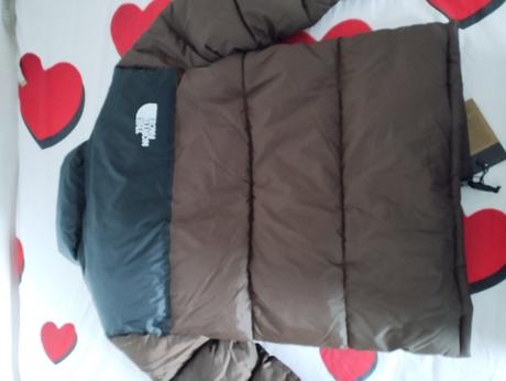 Bunda pánska the nort face, s