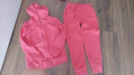 Tepkakova suprava, palomino,122