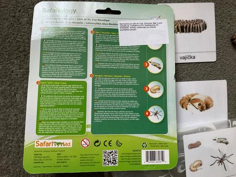 Zivotny cyklus komar + karty, 