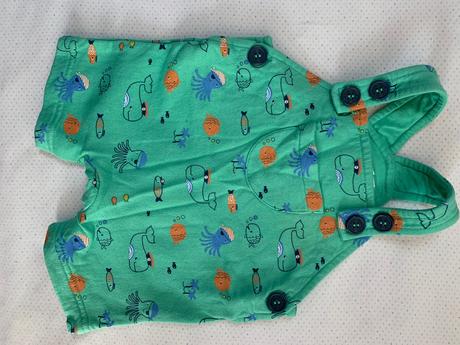 Letné trakace, bluezoo,62