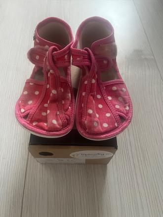 Rak papučky, rak,26