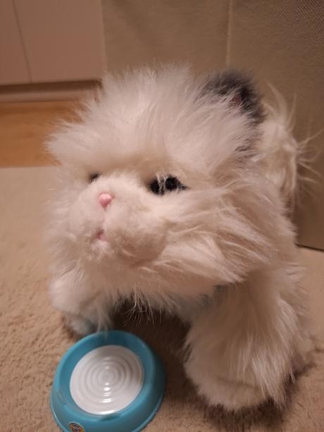 Pradúca,mňaukajúca,papajúca mačka, 