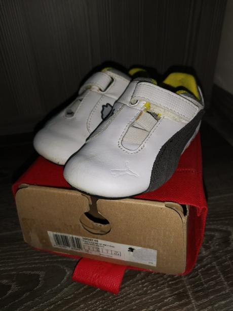 Puma ferrari, puma,23