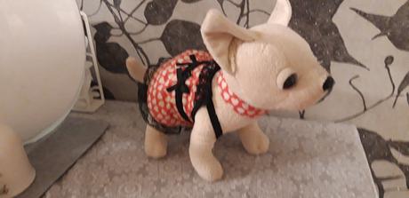 Chi chi love chivava + malá chivava + knižka, 