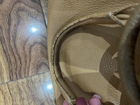 Coccinelle, coccinelle