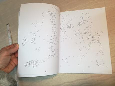 Amazing dot-to-dot nsp21,