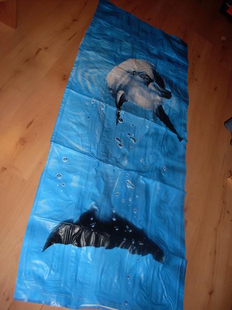 Nafukovačka s delfínom, 