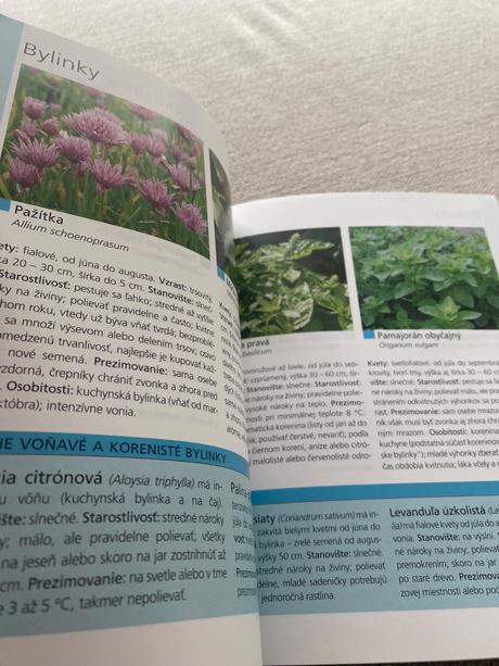 Balkón a terasa ursula braunová-bernhartová,