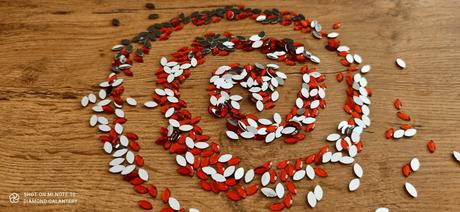 Ozdobné kamienky 5x10 mm - rozne farby, 