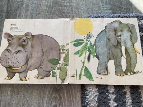 Čo sa sníva mrožovi (1969), 