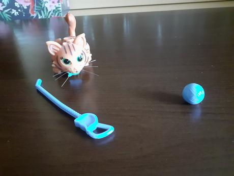 Mačiatko na kolieskach,