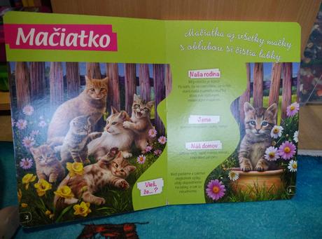 Mláďatká okolo nášho domu, 