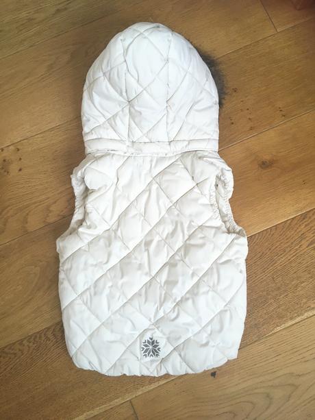 Vesta lindex, lindex,110