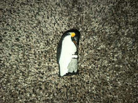 Tucniak, 