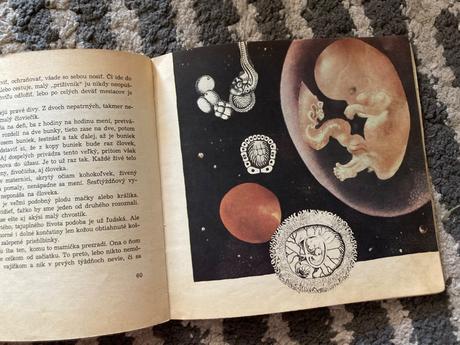 Doniesol ma bocian-prvé vyd.1968, 