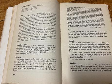 Pestovanie liečivých rastlín na malých plochách,