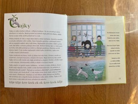 Kniha štebotavé veršíky o vtáčikoch,