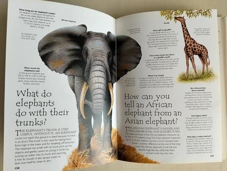 Question and answer encyclopedia,