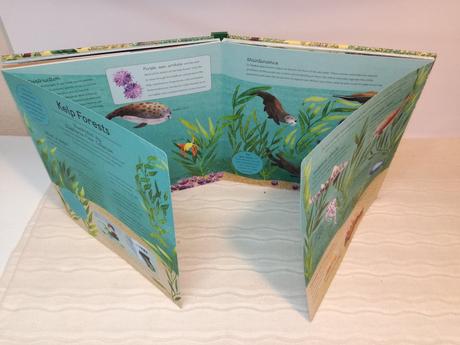 Libby walden cities in focus nau20,