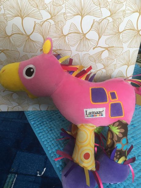 Krásny konik lamaze,