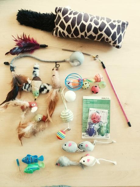 Hračky pre mačky, hlavolam, 