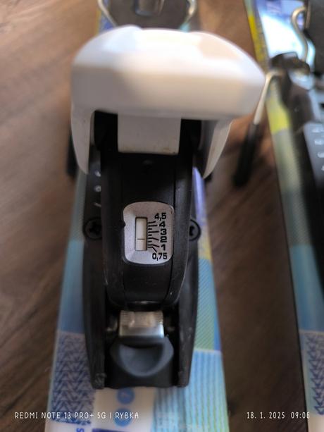 Detské lyže, 90-99 cm