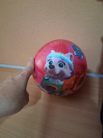 Skye lopta labková patrola skye,