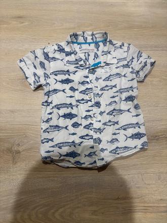 Kosela98az104, minoti,104