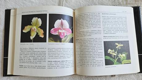 Kniha orchidey, j. zákrejs,