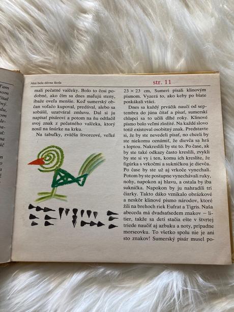 Aká bola dávna škola bibiana wallnerová (1979), 