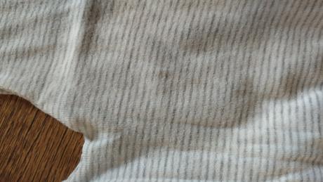 Polodupky pruhované, brendon,74