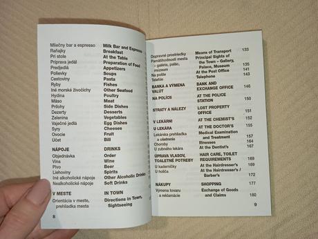 Angličtina do vrecka,