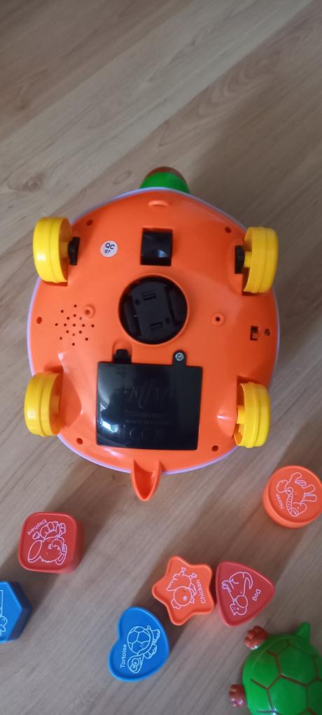 Korytnačka vkladacka, 