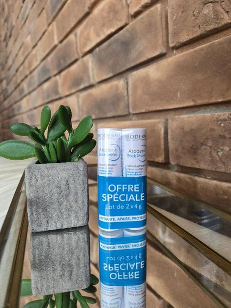 Bioderma atoderm balzamy na pery 2x4g,