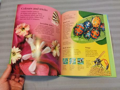 Usborne first encyclopedia of animals nsu23, 