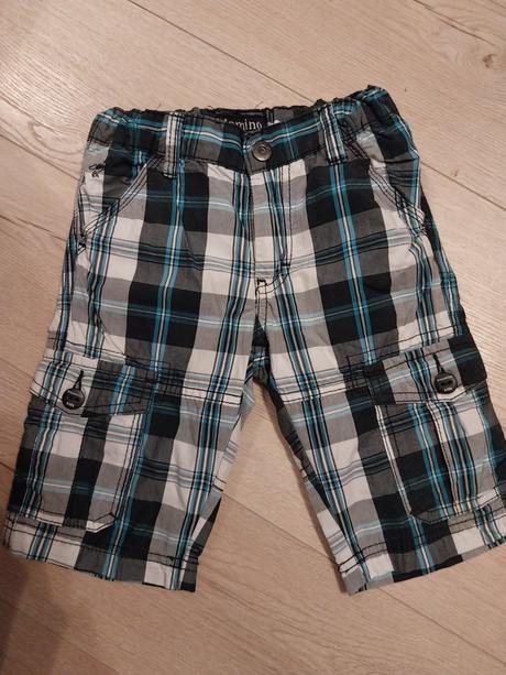 Kratasy, palomino,104