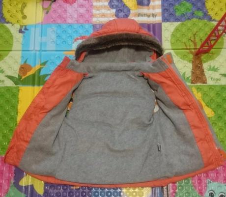 Vesta , st. bernard,98