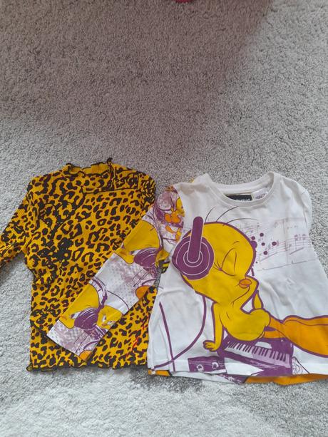 Tričko s dlhým rukávom desigual, desigual,104