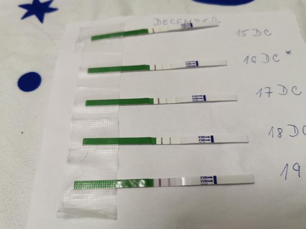 Mám viac ovulačného hlienu a bolesti v podbrušku