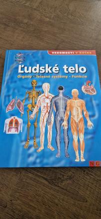 Ĺudske telo,