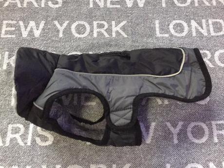 Bunda pre maleho psa s, 