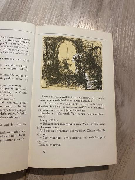 Skaza hradu historický román z 13. storočia ján po,